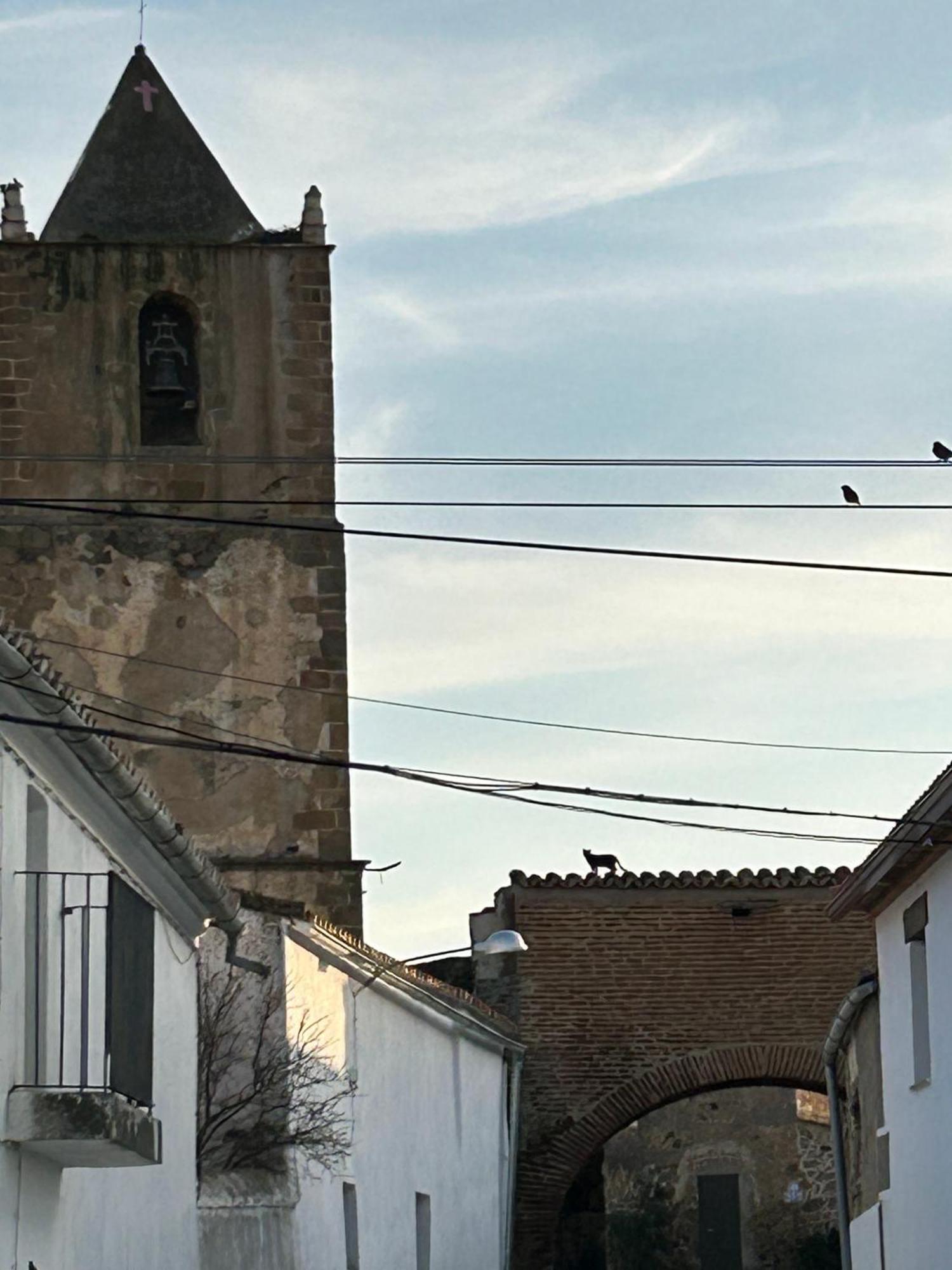 Casa Rural La Manzanilla Salvatierra de Santiago Екстер'єр фото